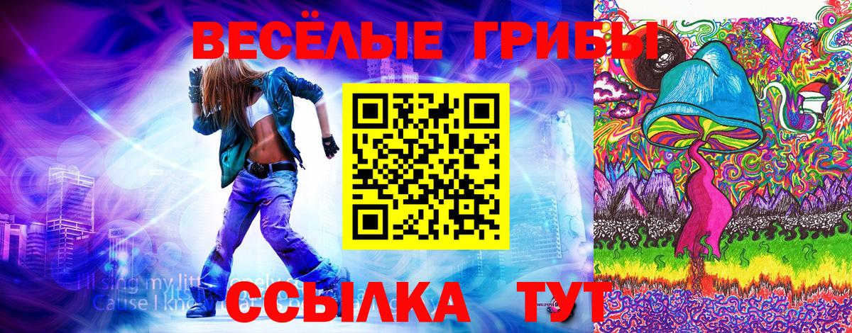 Псилоцибиновые грибы Magic Shrooms  Вход с VPN  Котовск 